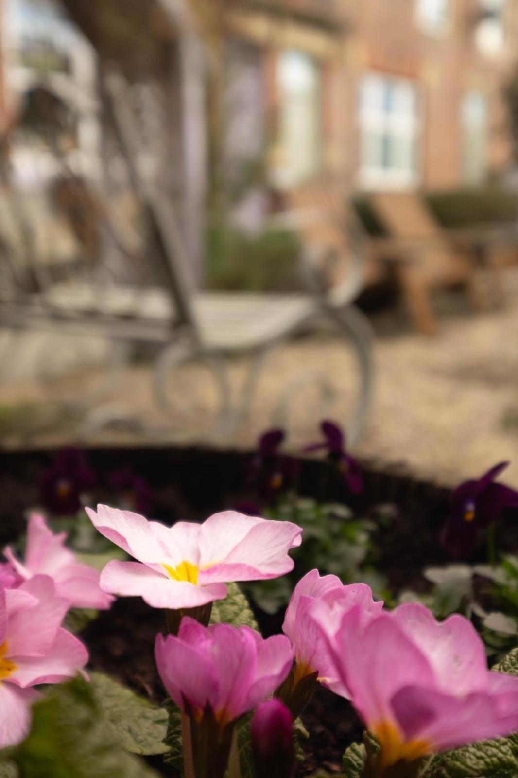 Lilac Cottage Morpeth Northumberland 외부 사진